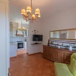 Le Di Simonetta - Helloelba *